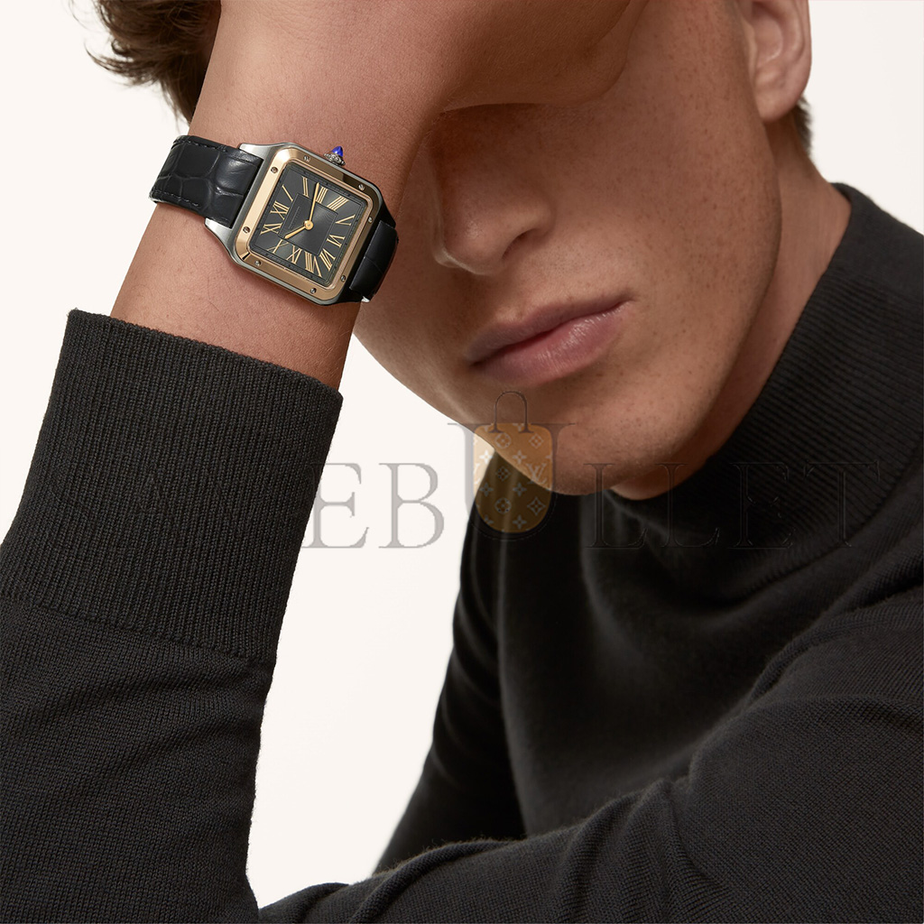 Ca*t*er santos-dumont watch w2sa0028